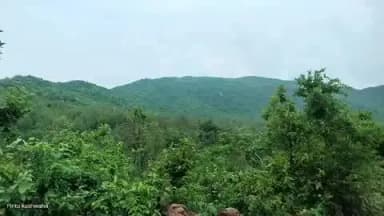 बरकागाँव: बड़कागांव की ग्रामीण क्षेत्रों में लकड़बग्घा के आतंक से भयभीत हैं लोग