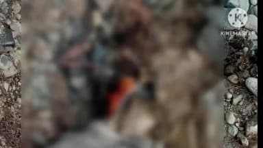 हर्रई: 10 दिन पूर्व नदी में बहे सलीम का कंकाल 10 से 15 किलोमीटर दूर मिला पुलिस कर रही मामले कीजांच
