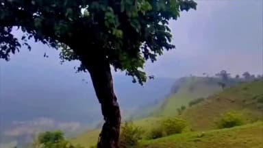तामिया: रेसिंग लगाकर बाइक राइडर पहुंचे तामिया सुहाने मौसम के बीच बढ़ाया रोमांच, मौसम का उठाया लुत्फ़