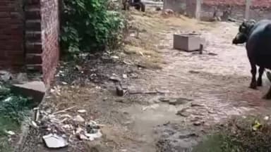 रुदौली: सरकारी जमीन पर अवैध कब्जे का आरोप, ग्रामीणों ने मुख्यमंत्री से की शिकायत