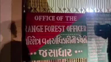 ગીર ગઢડા: પ્રતિબંધીત વન વિસ્તારમા ગેરકાયદેસર પ્રવેશ કરી સિહની પજવણી કરવાનો વિડીયો વાયરલ કરનાર વેરાવળના 8 શખ્સો ઝડપાયા