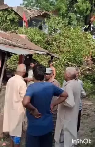 जलालपुर: जलालपुर नगर पालिका क्षेत्र के मोहल्ला गंजा में पीपल का पेड़ गिरा, आवागमन बाधित, सरस्वती शिशु मंदिर की छत हुई क्षतिग्रस्त