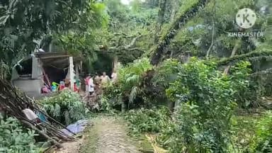 তেলিয়ামুড়া: থাংনাই বাজার এলাকায় গাছ পড়ে ক্ষতিগ্রস্ত পরিবারের পাশে দাঁড়ায় বিধায়িকা