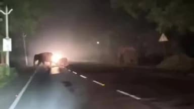 टाटीझरिया: टाटीझरिया-विष्णुगढ़ के सीमावर्ती इलाके में हाथियों का खौफ, खेतों में जाने से डर रहे किसान, रतजगा करने को विवश