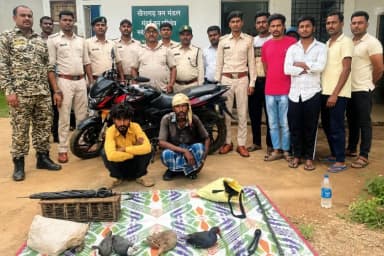 गंडाई: गंडई में वन्यजीव तस्करों पर बड़ी कार्रवाई, तीन संरक्षित पशु समेत दो गिरफ्तार