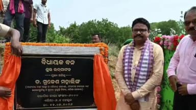 ଲୋଇସିଂହା: କର୍କଚିଆରେ ବିଧାୟକ ବନର ଶୁଭାରମ୍ଭ ୬ ହଜାର ଚାରା ରୋପଣ
