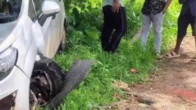 పెద్దాపురం: సామర్లకోట కెనాల్ రహదారిలో కారుపై కూలిన భారీ చెట్టు.. నలుగురికి గాయాలు