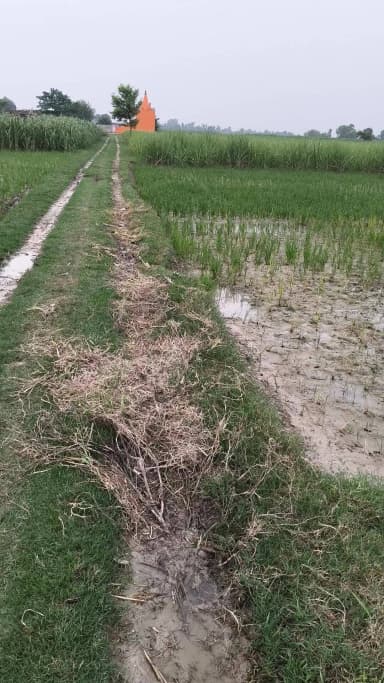 रास्ता काटी गई
धर्मपुर ग्राम पंचायत
उमेश धर्मपुर का खेत है
प्राथमिक विद्यालय धर्मपुर मां शारदा गायत्री
अबडैलस वाले,