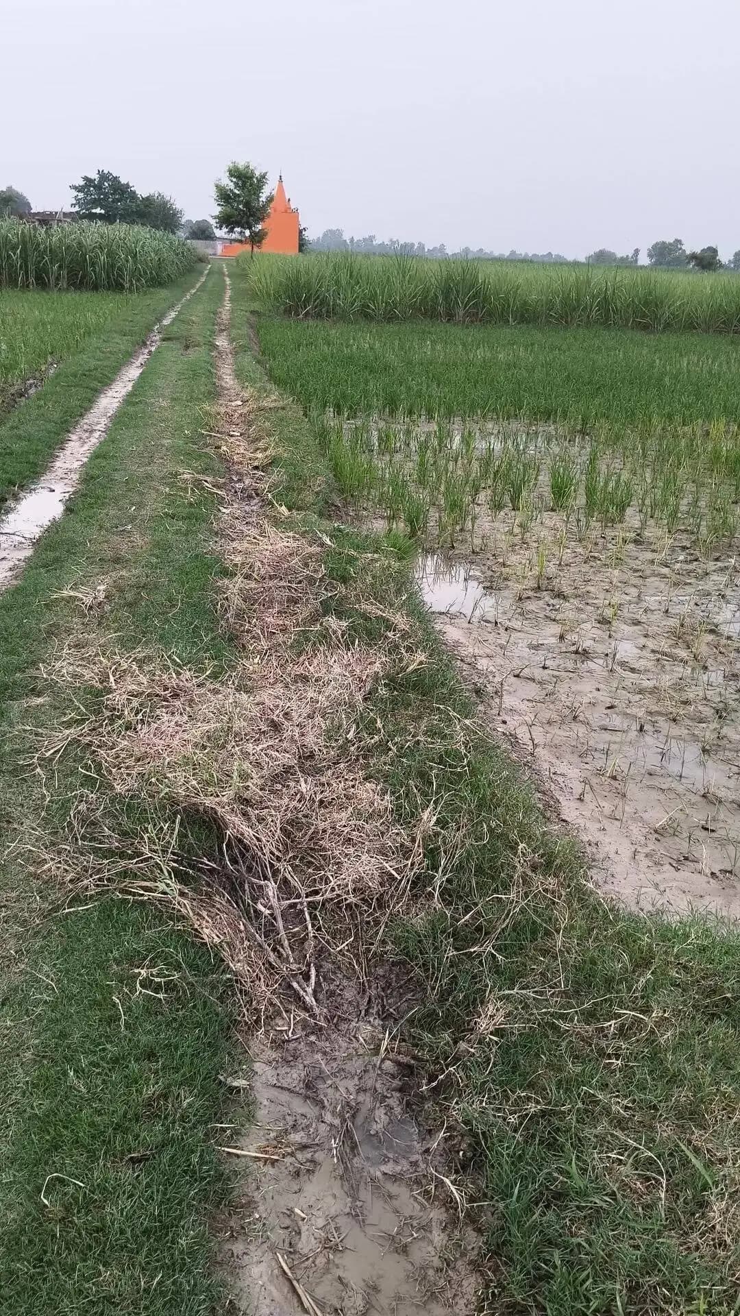 रास्ता काटी गई
धर्मपुर ग्राम पंचायत
उमेश धर्मपुर का खेत है
प्राथमिक विद्यालय धर्मपुर मां शारदा गायत्री
अबडैलस वाले,
