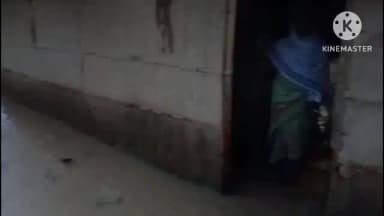 আমগুৰি: কৃত্ৰিম বানৰ কবলত আমগুৰি চাহবাগিছাৰ দুই নং ৱাৰ্ড