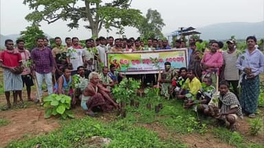 ଦେବଗଡ: ମିରିଗିଡିଆ ସାହିରେ ଜିଲ୍ଲା ମୁଣ୍ଡା ମହାସମାଜ ପକ୍ଷରୁ ବୃକ୍ଷରୋପଣ କାର୍ଯ୍ଯକ୍ରମ