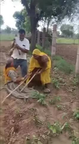ब्यावर: खेत में काम कर रही 74 वर्षीय विधवा पर देवर-देवरानी ने किया हमला, मारपीट व कपड़े फाड़ने का आरोप; रायपुर थाने में शिकायत