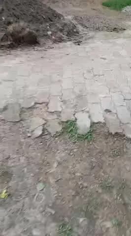 तारुन थाना अंतर्गत ग्राम पंचायत बेलगरा मजरे गदुरहवा में गदुरहवा कुआं से जुग्गीलाल के घर तक बारिश से रास्ता हुआ बदहाल