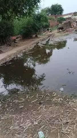 ##goraipur ki #sachhi ghatna##