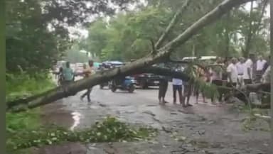 কদম: মইনাপৰাৰ ১৫ নং ৰাষ্ট্ৰীয় ঘাইপথত প্ৰকাণ্ড গছ পৰাত কিছু সময়ৰ বাবে ব্যাহত হৈ পৰে যাতায়ত ব্যৱস্থা