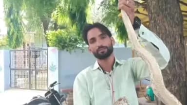 वज़ीरपुर: वजीरपुर मीना बड़ौदा में 8 फीट लंबे अजगर का रेस्क्यू कर स्नेक कैचर विजय मीना ने सुरक्षित जंगल में छोड़ा