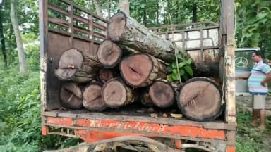 মাটিয়া: ৰাজ্যজুৰি চোৰাং কাঠৰ বিৰুদ্ধে বন বিভাগৰ অভিযান তীব্ৰতৰ হৈ থকাৰ মাজতে শিমলীতোলা বিট অফিচত পোহৰলৈ আহিছে এক আজৱ কাণ্ড