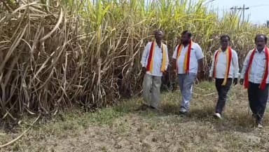 ಮದ್ದೂರು: ಜಿಲ್ಲೆಯನ್ನು ಬರಪೀಡಿತ ಜಿಲ್ಲೆಯೆಂದು ಘೋಷಿಸಿ ಪರಿಹಾರ ನೀಡಿ : ಪಟ್ಟಣದಲ್ಲಿ ಉಮಾಶಂಕರ