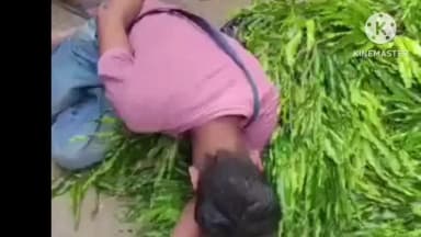 నూజివీడు: నూజివీడు ఆర్టీసీ బస్టాండ్ ఆవరణలో చెట్టు కొమ్మపడి ఓ వ్యక్తికి తీవ్ర గాయాలు