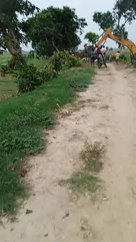 simaru guarua gaya Lakadi ki katai ho rahi hai