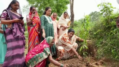 मंडला: 'एक पेड़ माँ के नाम' अभियान के तहत जिले के ग्राम टिकरवारा में पीएचई मंत्री संपतिया उइके ने किया पौधरोपण