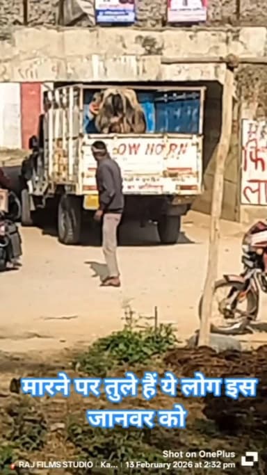 करछना: गाड़ी में जानवर गाड़ी से ऊंचा है मारने पर तुले हैं ये लोग इस जानवर को ज़बरन पुलिया में ले जा रहे गाड़ी से ....