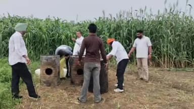 ਤਰਨਤਾਰਨ: ਝਬਾਲ ਇਲਾਕੇ ਦੇ ਠੱਠਗੜ੍ਹ–ਜਗਤਪੁਰਾ ਵਿੱਚ ਛਾਪੇ, 110 ਬੋਤਲਾਂ ਨਾਜਾਇਜ਼ ਸ਼ਰਾਬ ਤੇ 800 ਲੀਟਰ ਲਾਹਣ ਬਰਾਮਦ