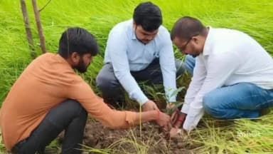 निचलौल: सिसवा ब्लॉक क्षेत्र में विभिन्न स्थानों पर चला 'एक पेड़ मां के नाम' अभियान