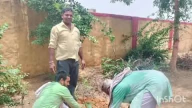 सिकंंदराबाद: ककोड़ के शिवाला मंदिर में नगर पंचायत अध्यक्ष ने मां के नाम अभियान के अंतर्गत किया वृक्षारोपण