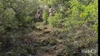 बलरामपुर: जिले के भारत-नेपाल सीमावर्ती क्षेत्र में पुलिस और सशस्त्र सीमा बल ने की गहन चेकिंग