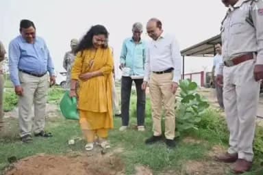 कराहल: कलेक्टर ने किया पौधारोपण कन्या महाविद्यालय में लगेंगे 200 पौधे
