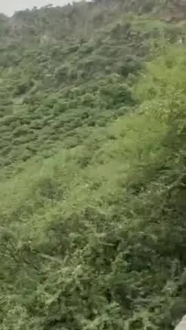 गिर्वा: खेरवाड़ा में लेपर्ड के नाखून काटने वाले आरोपी को किया गया गिरफ्तार, 9 नाखून बरामद