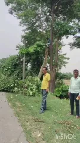 महसी: नेवादा मोड़ के पास विद्युत उपकेन्द्र की 11केवी लाइन पर ट्री कटिंग का कार्य शुरू हुआ