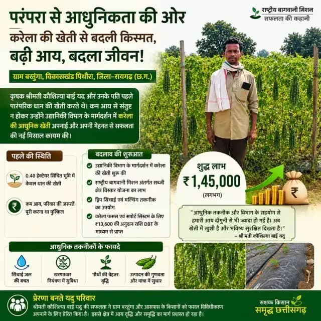 परंपरागत धान की खेती से आधुनिक उद्यानिकी की ओर बढ़ाया कदम, करेला की खेती से बदली आर्थिक तस्वीर
महासमुंद जिले के पिथौरा विकासखंड के ग्राम बरतुंगा की कृषक दम्पति श्रीमती कौशिल्या बाई यदु एवं उनके पति ने उद्यानिकी विभाग के मार्गदर्शन में करेला की आधुनिक खेती अपनाकर सफलता की नई मिसाल कायम की है।
ड्रिप सिंचाई और मल्चिंग जैसी आधुनिक तकनीकों के उपयोग से उत्पादन बढ़ा, लागत नियंत्रित हुई और बाजार में बेहतर मूल्य मिलने से लगभग ₹40 हजार की लागत पर ₹1.45 लाख का शुद्ध लाभ प्राप्त हुआ।
#Chhattisgarh #Farmers #horticulture #mahasamund #pithora