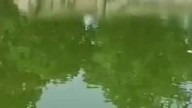 कायमगंज: शमशाबाद स्थित चिंतामणि तालाब में डूबने से बी फार्मा छात्र की हुई मौत, चाचा और चचेरे भाई के साथ गया था नहाने