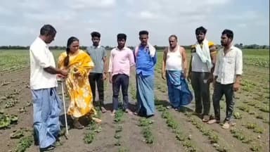 ಧಾರವಾಡ: ಕುಂದಗೋಳ ತಾಲೂಕಿನಲ್ಲಿ ಮಳೆಯಿಲ್ಲದೇ ರೈತರು ಬೆಳೆದ ಬೆಳೆಗಳು ಹಾನಿ:ಚ ಕೃಷಿ ಅಧಿಕಾರಿ ರೇಖಾ ಗಡಾದ ಅವರು ರೈತರ ಜಮೀನುಗಳಿಗೆ ಭೇಟಿ
