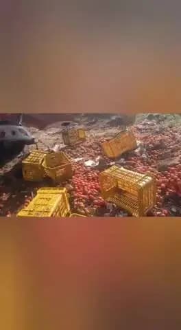 கலசபாக்கம்: தக்காளி ஏற்றி சென்ற லாரி புளிய மரத்தில் மோதி பயங்கர விபத்து போலீஸ் விசாரணை