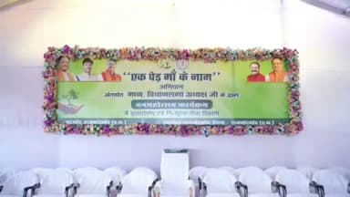 एक पेड़ मां के नाम