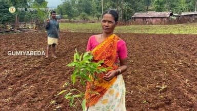 VB-G RAM G योजना के तहत आय भी, हरियाली भी
10 एकड़ में विकसित हो रहे फलोद्यान से किसानों की आजीविका को नई मजबूती मिल रही है। योजना के तहत ग्रामीणों को कार्य के बदले प्रतिदिन ₹300 की मजदूरी मिल रही है, वहीं उनके खेतों में लगाए जा रहे आम, लीची, कटहल, नींबू और नारियल के पौधे भविष्य में नियमित आय का आधार बनेंगे। इससे रोजगार, समृद्धि और पर्यावरण संरक्षण तीनों को एक साथ बढ़ावा मिल रहा है।
#VBGRAMG #treeplanting #Narayanpur #Abhujhmaad #Maad