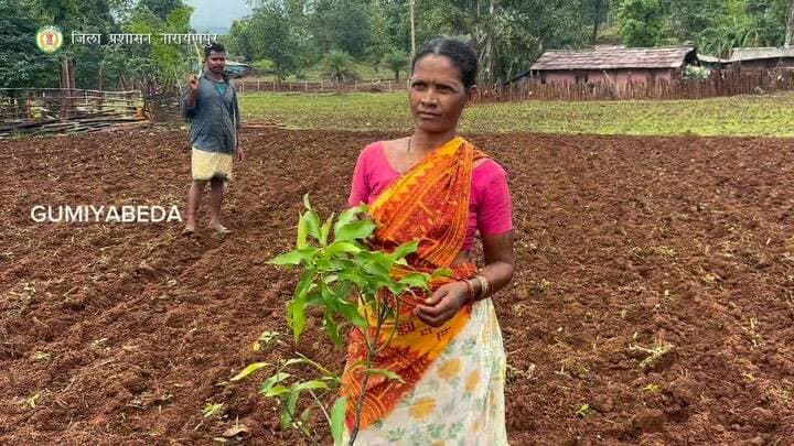 VB-G RAM G योजना के तहत आय भी, हरियाली भी
10 एकड़ में विकसित हो रहे फलोद्यान से किसानों की आजीविका को नई मजबूती मिल रही है। योजना के तहत ग्रामीणों को कार्य के बदले प्रतिदिन ₹300 की मजदूरी मिल रही है, वहीं उनके खेतों में लगाए जा रहे आम, लीची, कटहल, नींबू और नारियल के पौधे भविष्य में नियमित आय का आधार बनेंगे। इससे रोजगार, समृद्धि और पर्यावरण संरक्षण तीनों को एक साथ बढ़ावा मिल रहा है।
#VBGRAMG #treeplanting #Narayanpur #Abhujhmaad #Maad