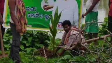 ଯାଜପୁର: ସମାଜସେବୀ ସୌମ୍ୟଙ୍କ ଜନ୍ମଦିନ ଉପଲକ୍ଷେ ମାଳଆନନ୍ଦପୁର ପଂଚାୟତ ବାସୀଙ୍କ ପକ୍ଷରୁ ଉତ୍ତରେସ୍ୱର ପୀଠରେ ବୃକ୍ଷରୋପଣ ଉତ୍ସବ ଅନୁଷ୍ଠିତ