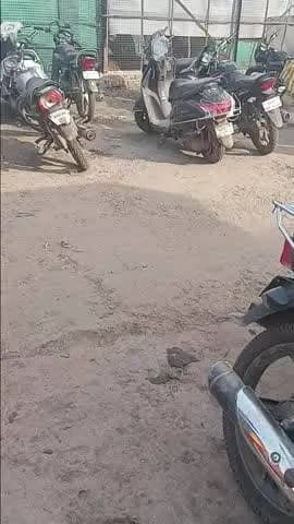 Purani sabji mandi laxmignag me awedh basuli ki ja rahi hai Dharmendra chobe aur sourabh 4000 5000 hazar per day basuli