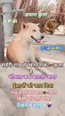 #video #training #viral short video vikash # kutta Ne Sabko Kat liya Ghar Walon Ko Kisi Ke Nahin Chhoda short video