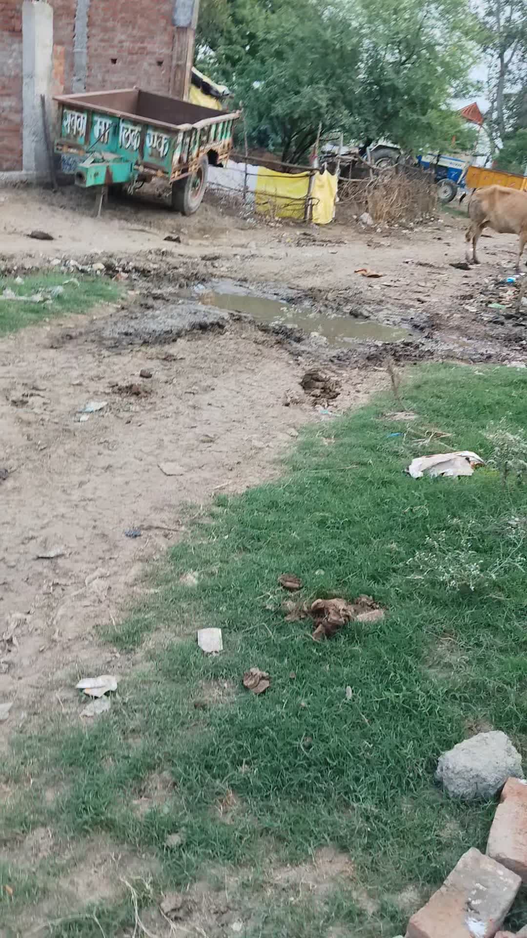 dhaguvawa kala madad ke liye hai