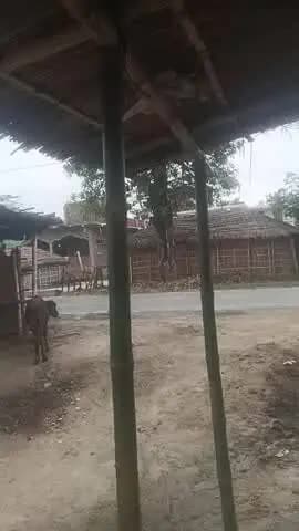 सफाई गांव सेक्टर सफाई स्कूल चौक ब्रेकिंग न्यूज़#@@@
