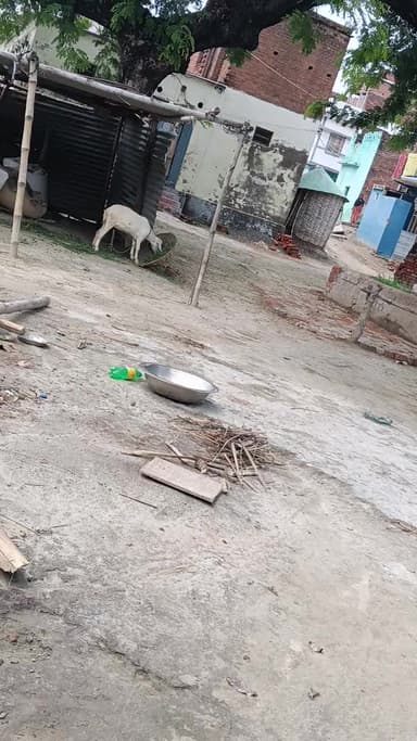 mera bhaish chori ho gaya hai 2 tarkh ko