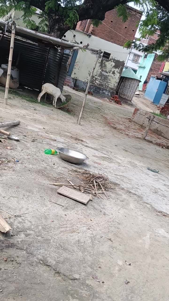 mera bhaish chori ho gaya hai 2 tarkh ko