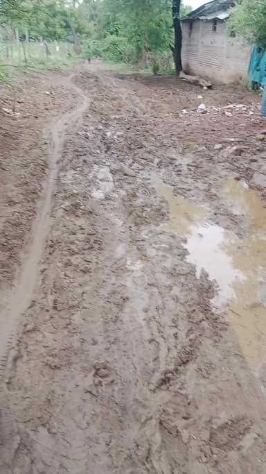 ग्राम जोहरिया से इमलिया ग्राम जाने वाले रोड का यह हाल है ग्रामीण लोग बहुत अधिक परेशान रपट जाते हैं, कब बनेगा यह रोड...