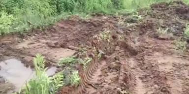 నిజాంపేట్: నర్సరీ మొక్కలు ధ్వంసం గ్రామస్తులు ఆగ్రహం