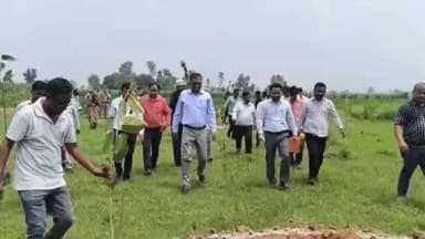शाहजहांपुर: ददरौल में विशेष वृक्षारोपण अभियान चला, अंत्येष्टि स्थलों पर लगाए जाएंगे चंदन और कल्पवृक्ष